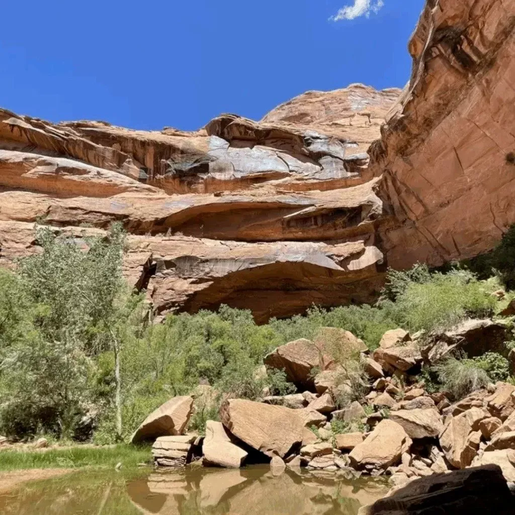 Moonflower Canyon Trail