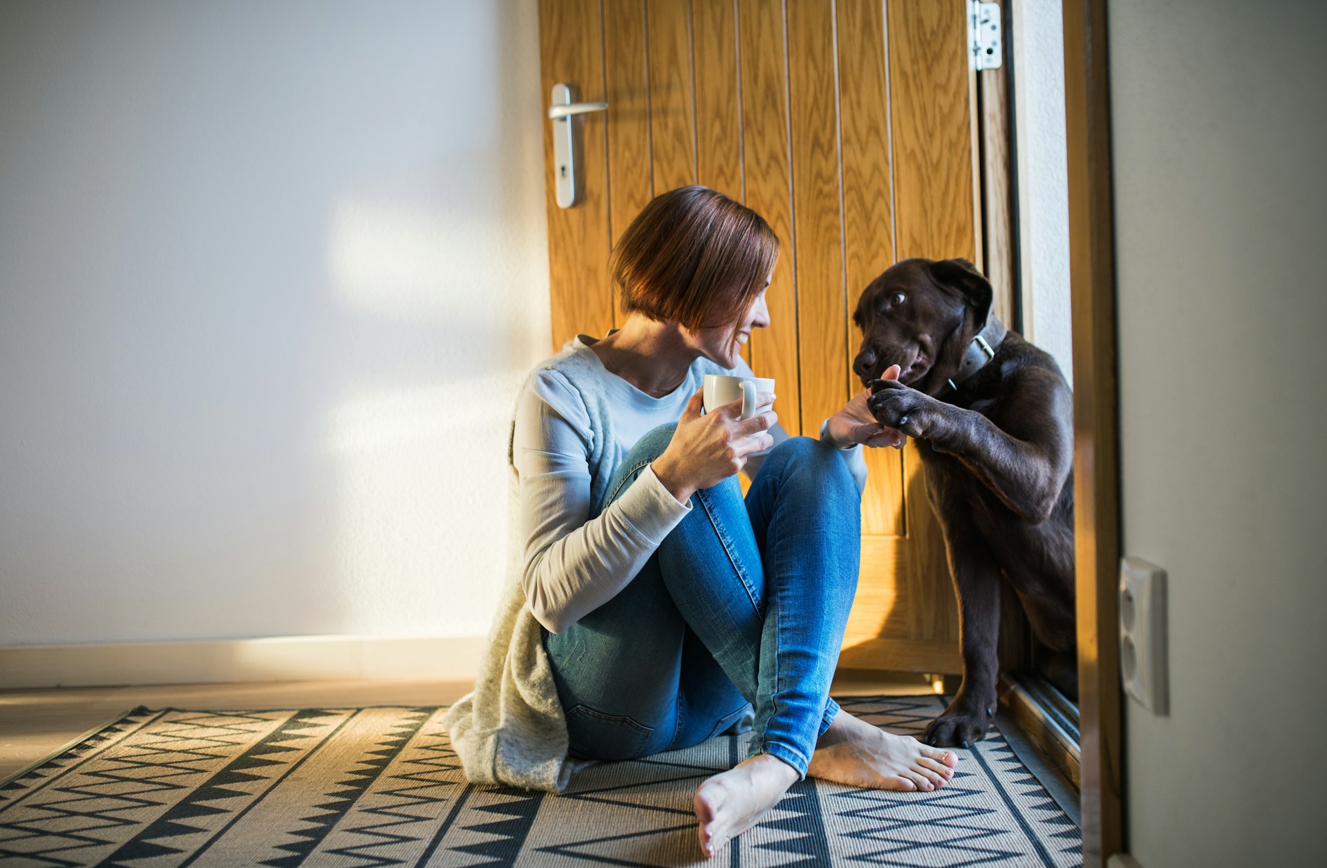 Choosing Moab Tiny Homes for a Dog-Friendly Desert Escape